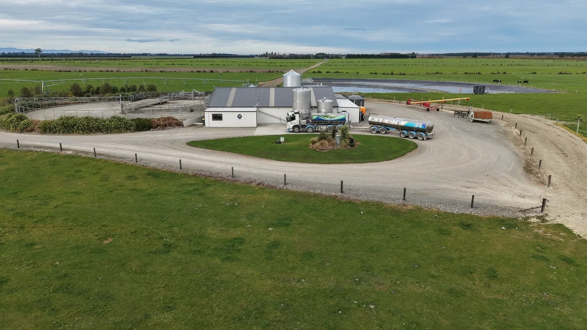 Scenic view of pastures and cattle at Waikirikiri Farm